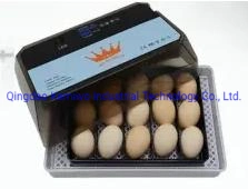 Poultry Equipment Mini Small Egg Incubator Small Capacity Incubator