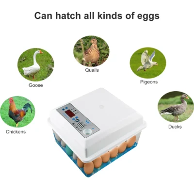 Egg Incubator Fully Automatic Incubator Eggs Hatching Machine Chicken Goose Bird Quail Turkey Duck Poultry Chick Brooder