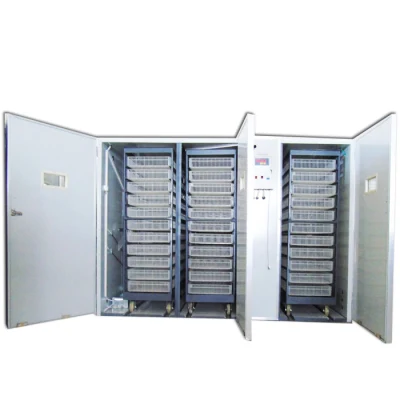 Quail Chicken Full Automatic Temperature Sensor Cabinet Incubator Accessories