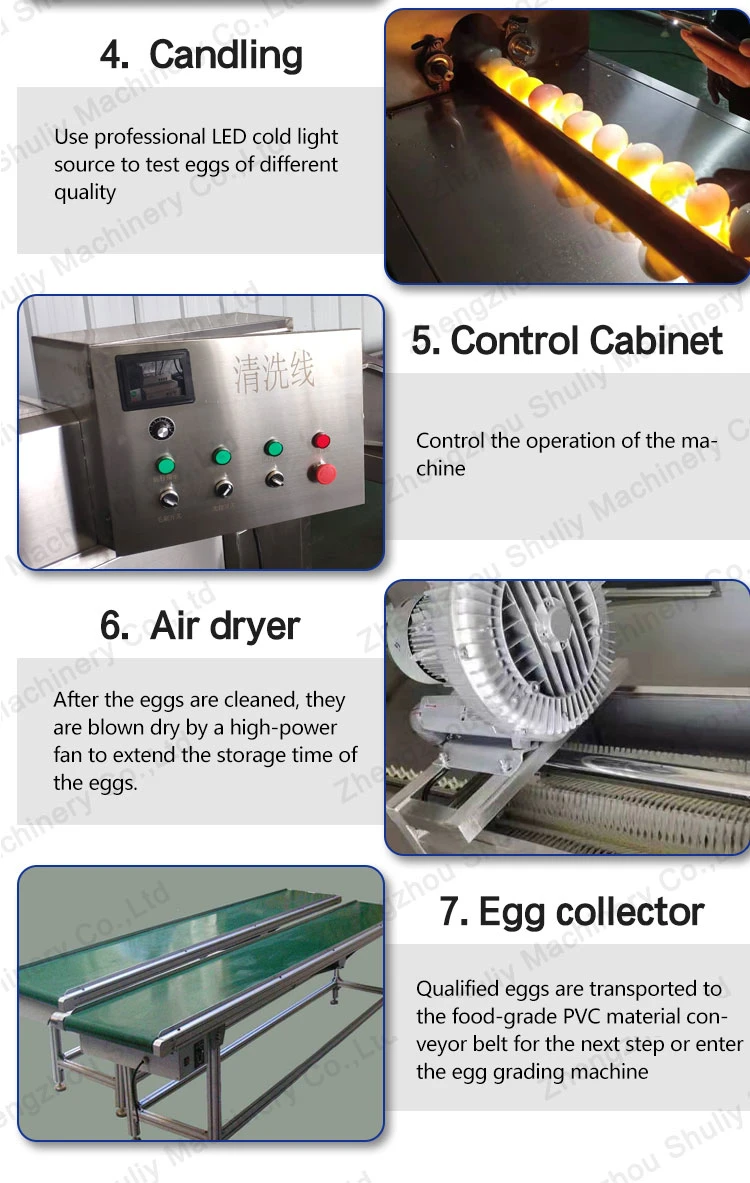 Industrial Factory Price 10000PCS Automatic Egg Washing Cleaning Drying and Sorting Machine