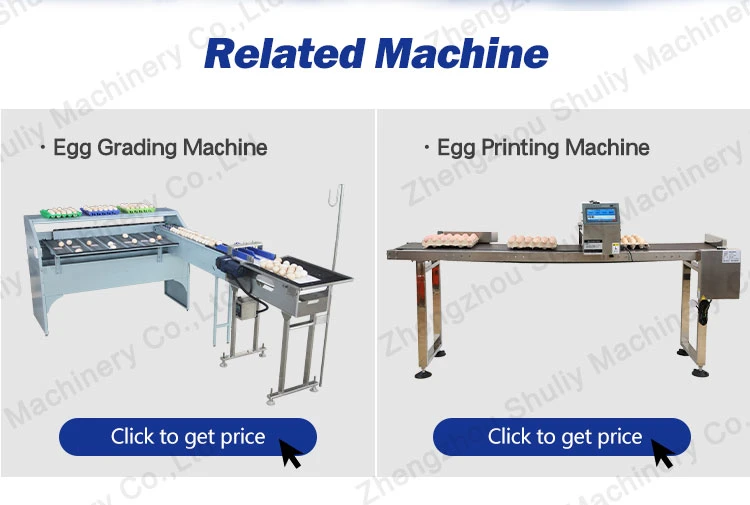 Automatic Line Egg Process Line Washer Candler Sorter Line for Sale