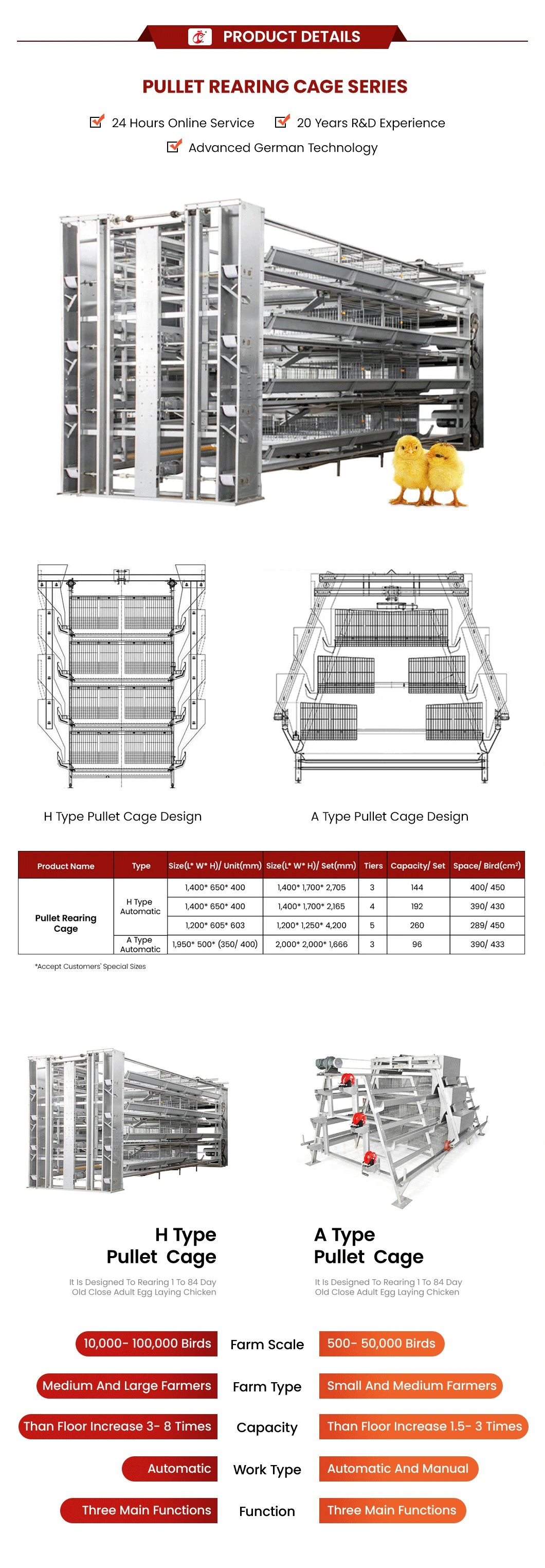 Bestchickencage a Type Small Pullet Cage Breeder Cage China Single Baby Chicken Coop Supplier Custom Long Service Life Pullet Cage Brooder