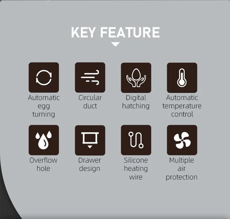 Hhd E92 Thermometer for Egg Brooder Incubeter Machine