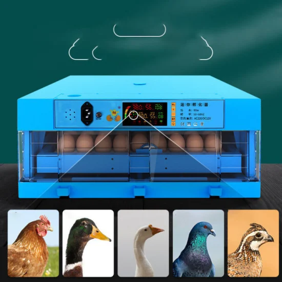 Good Quality Full Automatic Mini Eggs 12V 220V Incubator Chicken Egg Incubator