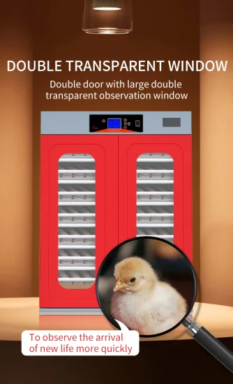 Chinese Red New Hhd Incubator Chicken Brooder Best Selling in Dubai