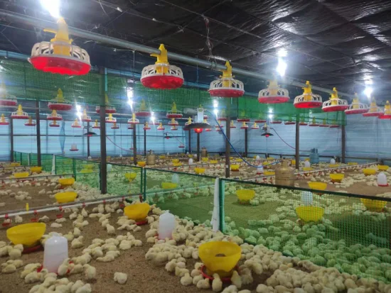 Low Gas Consumption High Efficient Infrared Poultry Farms Chick Brooder Heater