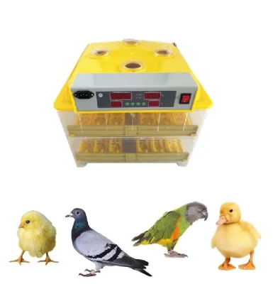 CE Approved 112 Eggs Automatic Mini Incubator for Chicken Eggs