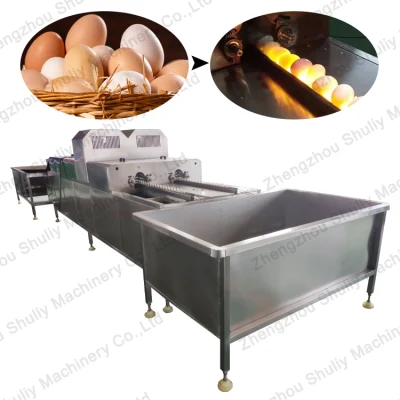 Automatic Egg Washing and Sorting Machine with Factory Price