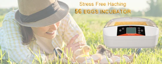 Yz-56s Newest Mini Incubator Egg 56 with LED Light