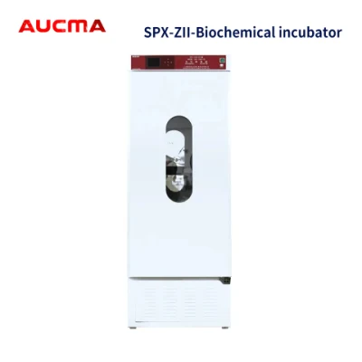 Laboratory Biochemical Medical Mould Cultivation Cabinet Bacterial Incubator with Germicidal Lamp