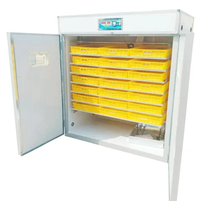 New Arrival Industrial Chicken Quail Turkey Egg Incubator Cabinet