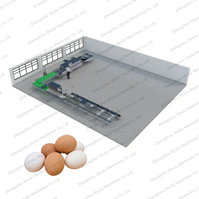 Industrial Factory Price 10000PCS Automatic Egg Washing Cleaning Drying and Sorting Machine